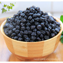 bulk dried blueberry